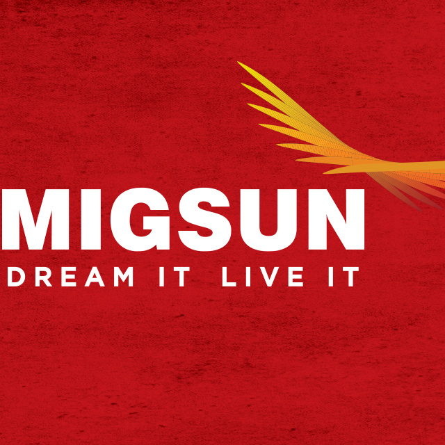 Migsun Group
