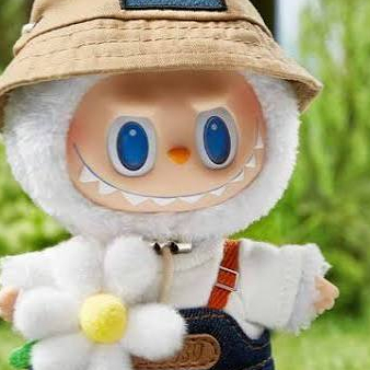 Labubu Labubu